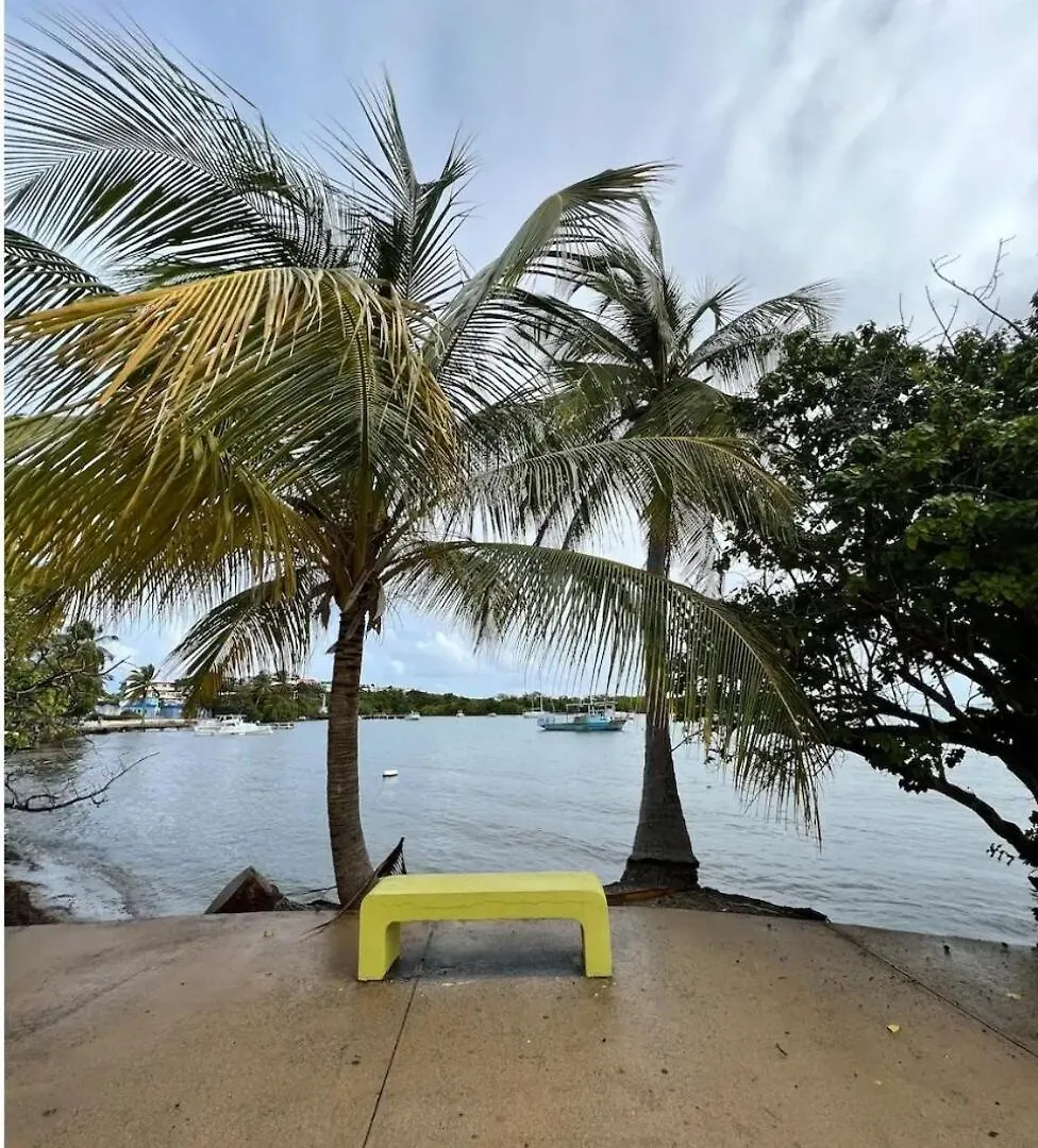 Biobay Suite Los Roires Beach Apartments Fajardo